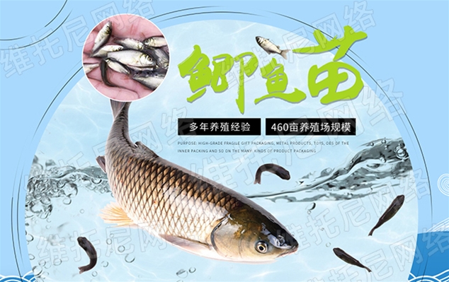 東莞市沙田鴻運(yùn)魚(yú)苗養(yǎng)殖場(chǎng)